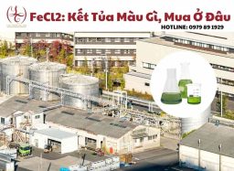 So sánh màu sắc dung dịch FeCl2 và tinh thể