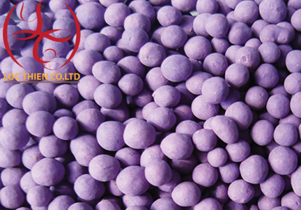 zeolite 05