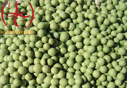 zeolite 06