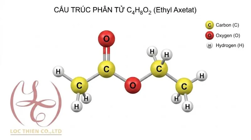 Molecular structure of C4H8O2 - hoachatcoban.net